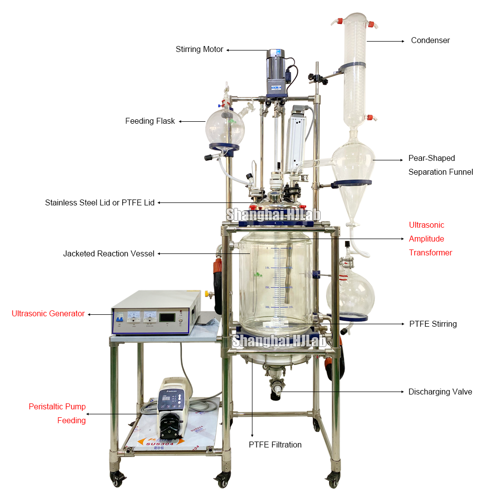 Pilot Scale Jacketed Glass Reactor with Ultrasonic Dispersion and PTFE Filtration and Peristaltic Pump Automatic Feeding