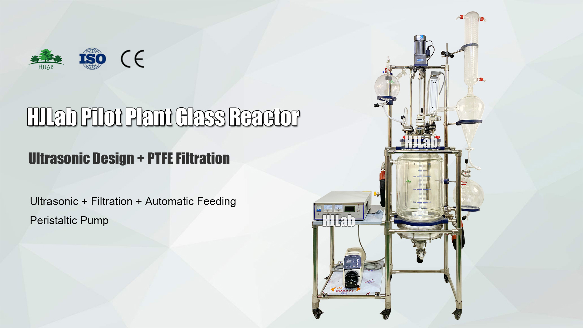 Pilot Scale Jacketed Glass Reactor with Ultrasonic Dispersion and PTFE Filtration and Peristaltic Pump Automatic Feeding