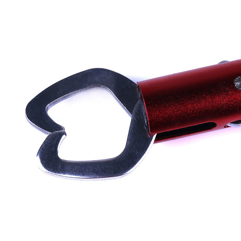 FREE FISHER Fishing Control Fish Clamp Portable Device 17cm Stainless Steel Fishing Lip Grip Holder Grabber Pliers Fishing Gripper Tool Tackle