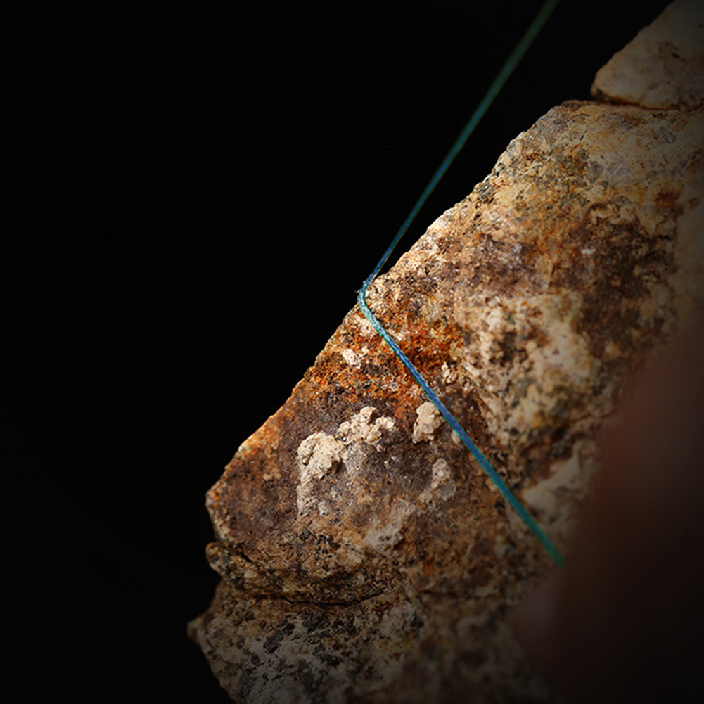 FREE FISHER Fishing Braid Line 300m 4 Strands Multifilament 8-80LB 0.08-0.5mm 100% PE Briaded Wire for Saltwater/Freshwater