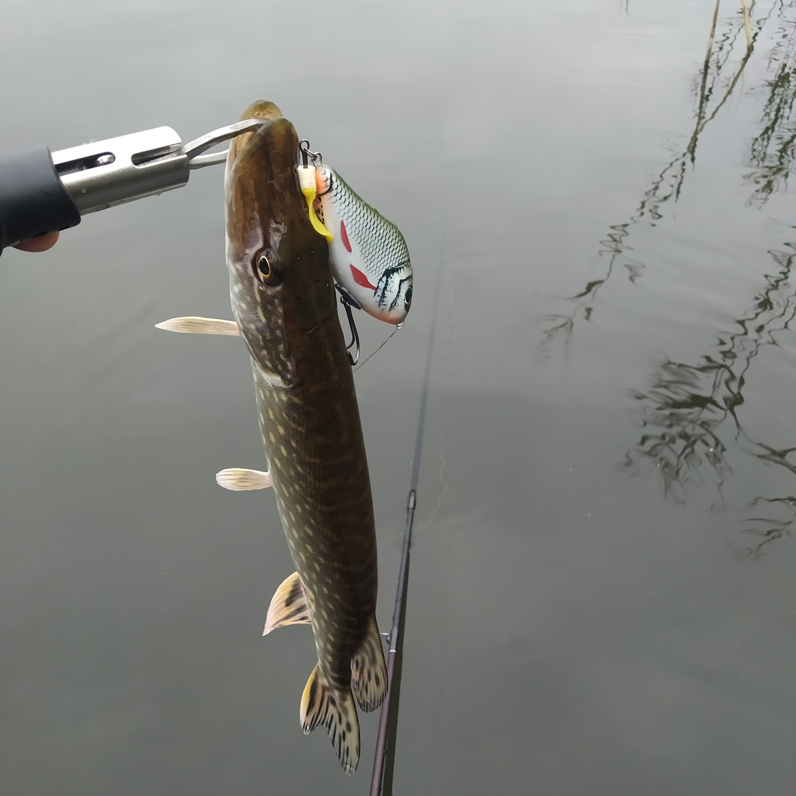 FREE FISHER 4pcs Jerkbait Set Fishing Lures 100MM 49G Slider Swim Action with Soft Tail Slow Sinking Hard Body Fishing Jerk Bait for Pike Musky