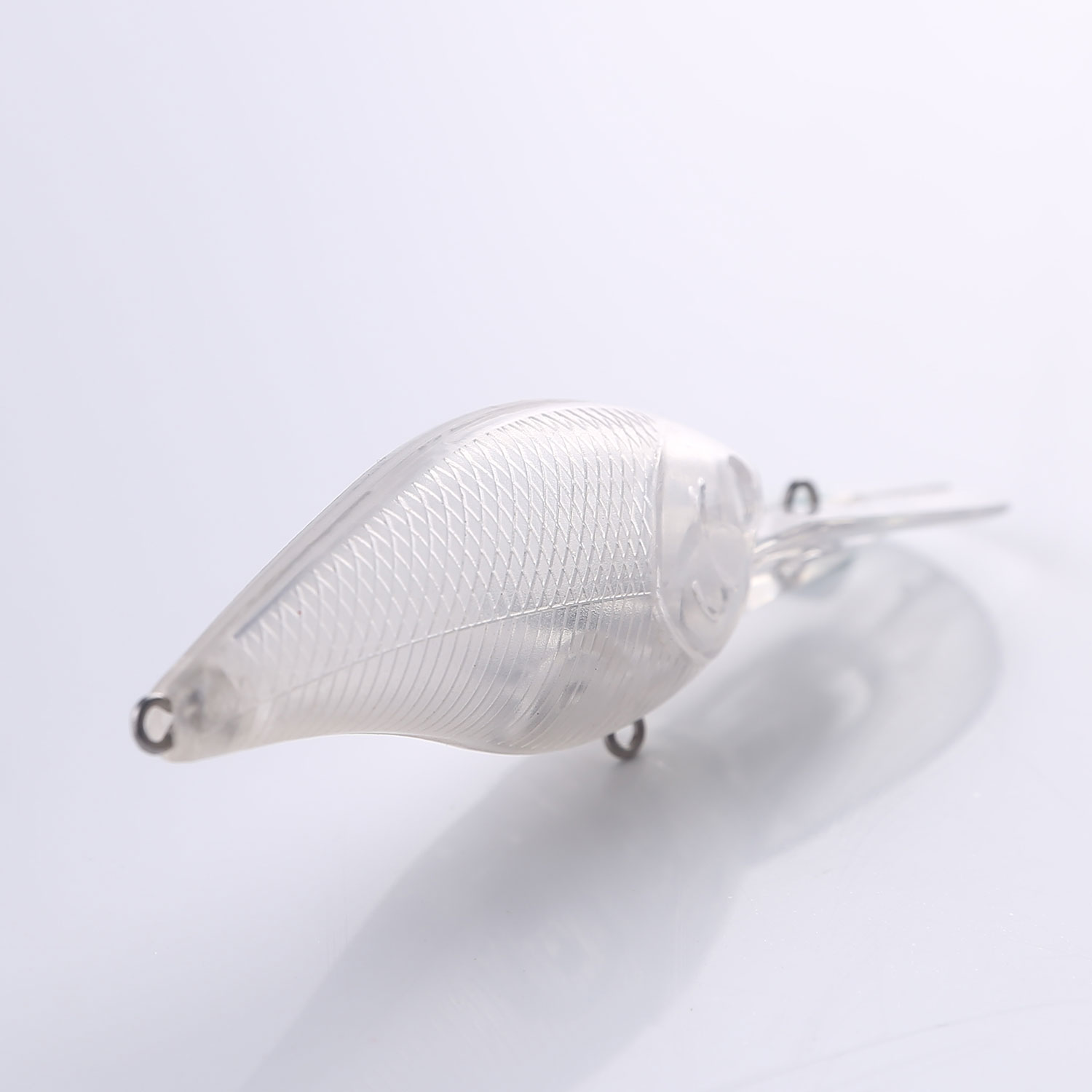 FREE FISHER Fishing Blank Lures Set 10pcs/Lot Unpainted Baits Minnows Crankbaits Pencil Lures Clear Naked Bait Embryo with Ring Eyes