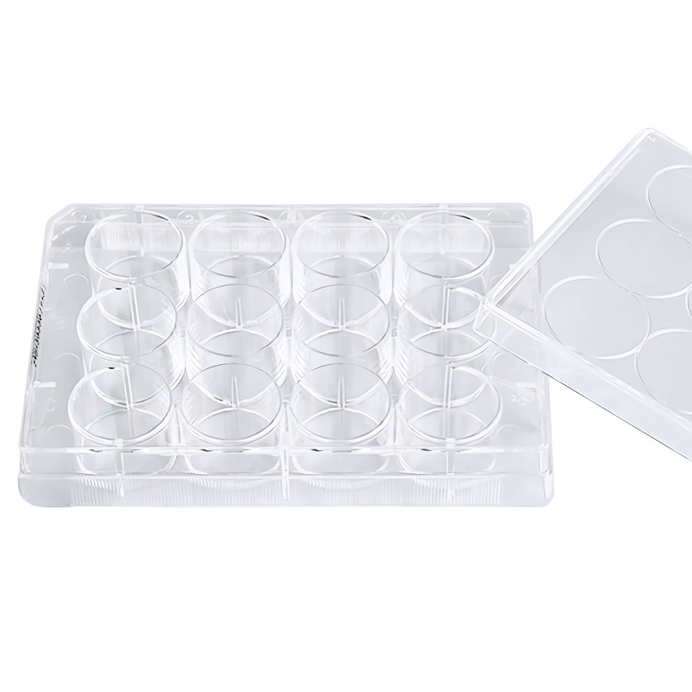 ADAMAS-BETA 10pcs Lab Transparent Cell Culture Plate 6-Well 12-Well 24-Well 48-Well Flat Bottom TC Sterile Plastic Adherent Culture Plate