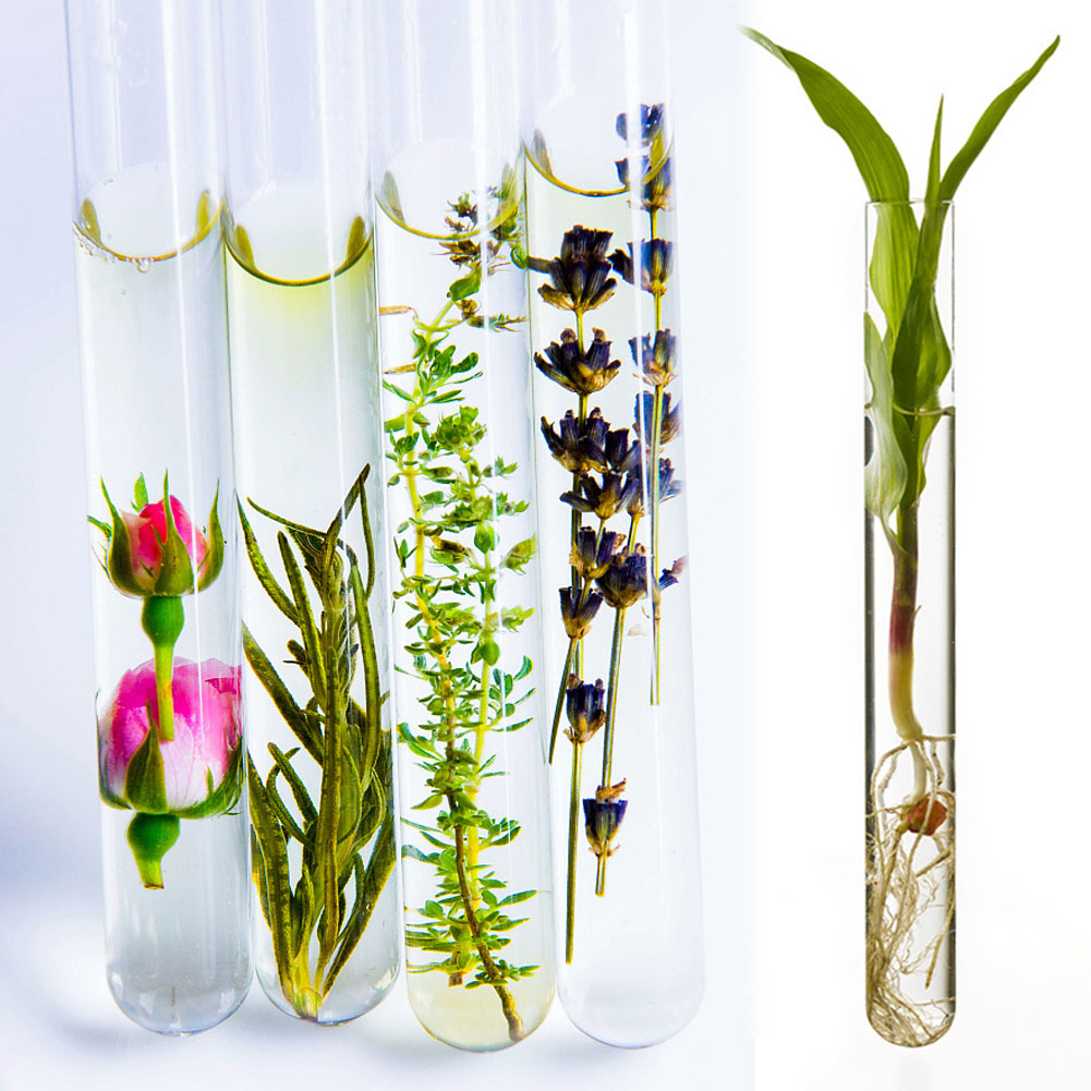 ADAMAS BEST 20*150mm Glass Test Tubes with Rubber Stopper+6 Well Plastic Test Tube Rack Laboratory Plastic Tube Holders Standers Set 13pcs