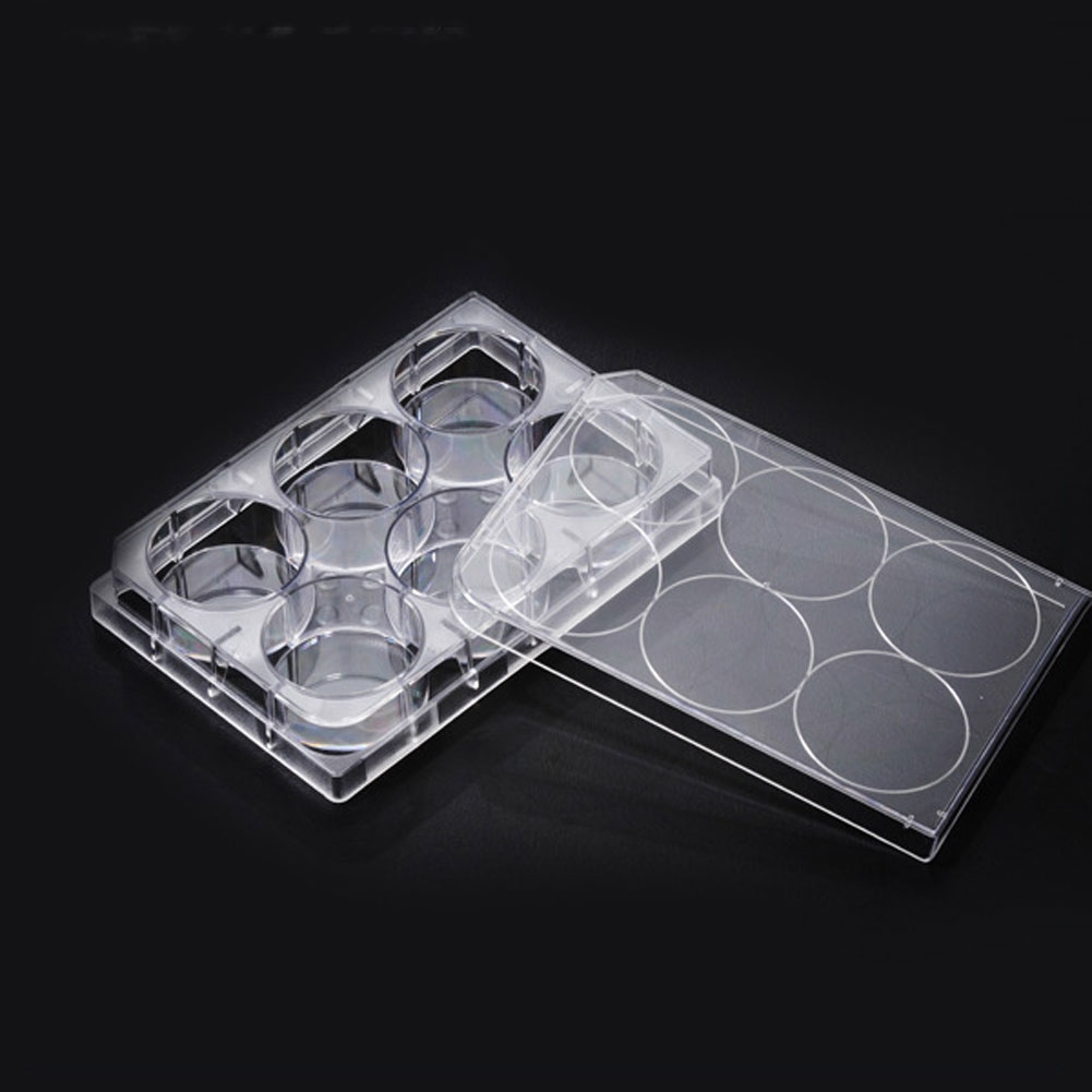ADAMAS-BETA Cell Culture Plate 6-96 Well Flat Bottom TC Sterile Transparent Laboratory Microbial Plastic Culture Plate for Adherent Culture