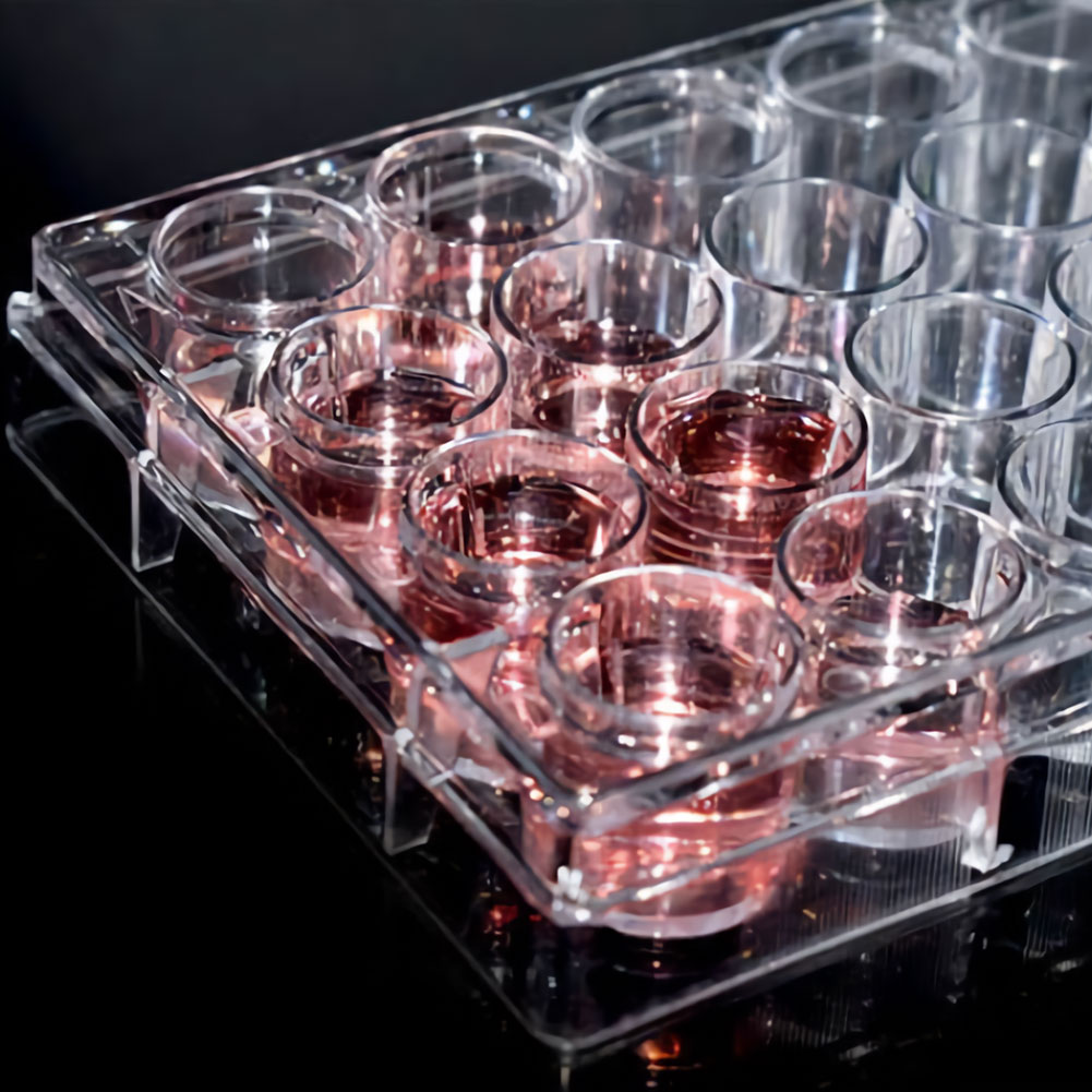 ADAMAS-BETA 10pcs Lab Transparent Cell Culture Plate 6-Well 12-Well 24-Well 48-Well Flat Bottom TC Sterile Plastic Adherent Culture Plate