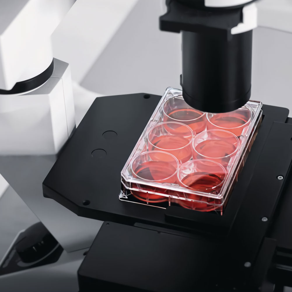 ADAMAS-BETA 10pcs Lab Transparent Cell Culture Plate 6-Well 12-Well 24-Well 48-Well Flat Bottom TC Sterile Plastic Adherent Culture Plate