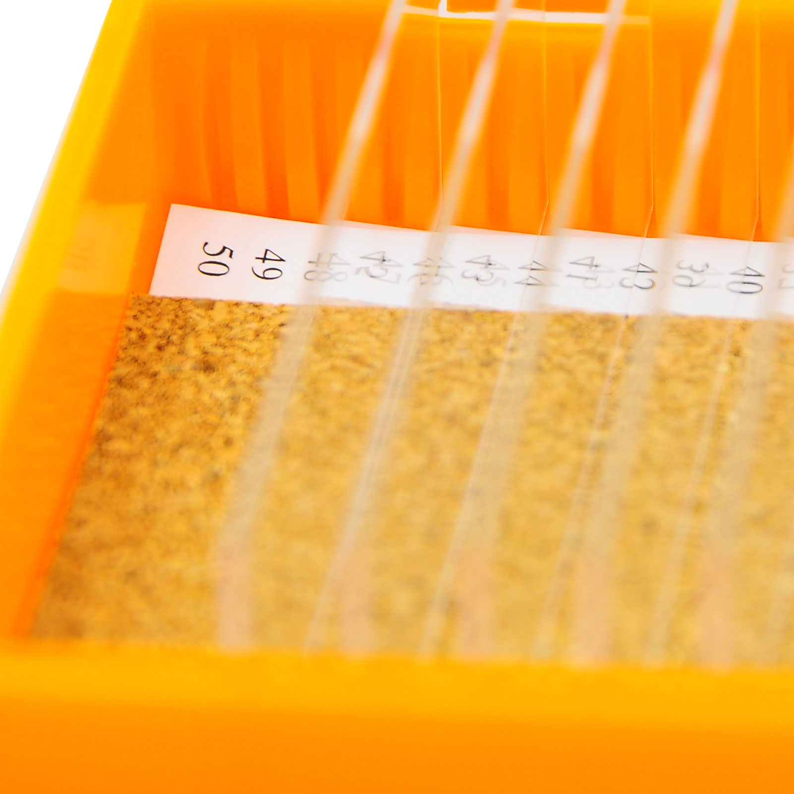 ADAMAS BETA Lab Plastic Slide Box ABS Laboratory Covered Microscope Slide Storage Case for 12/50/100pcs 25*75mm Standard Slides