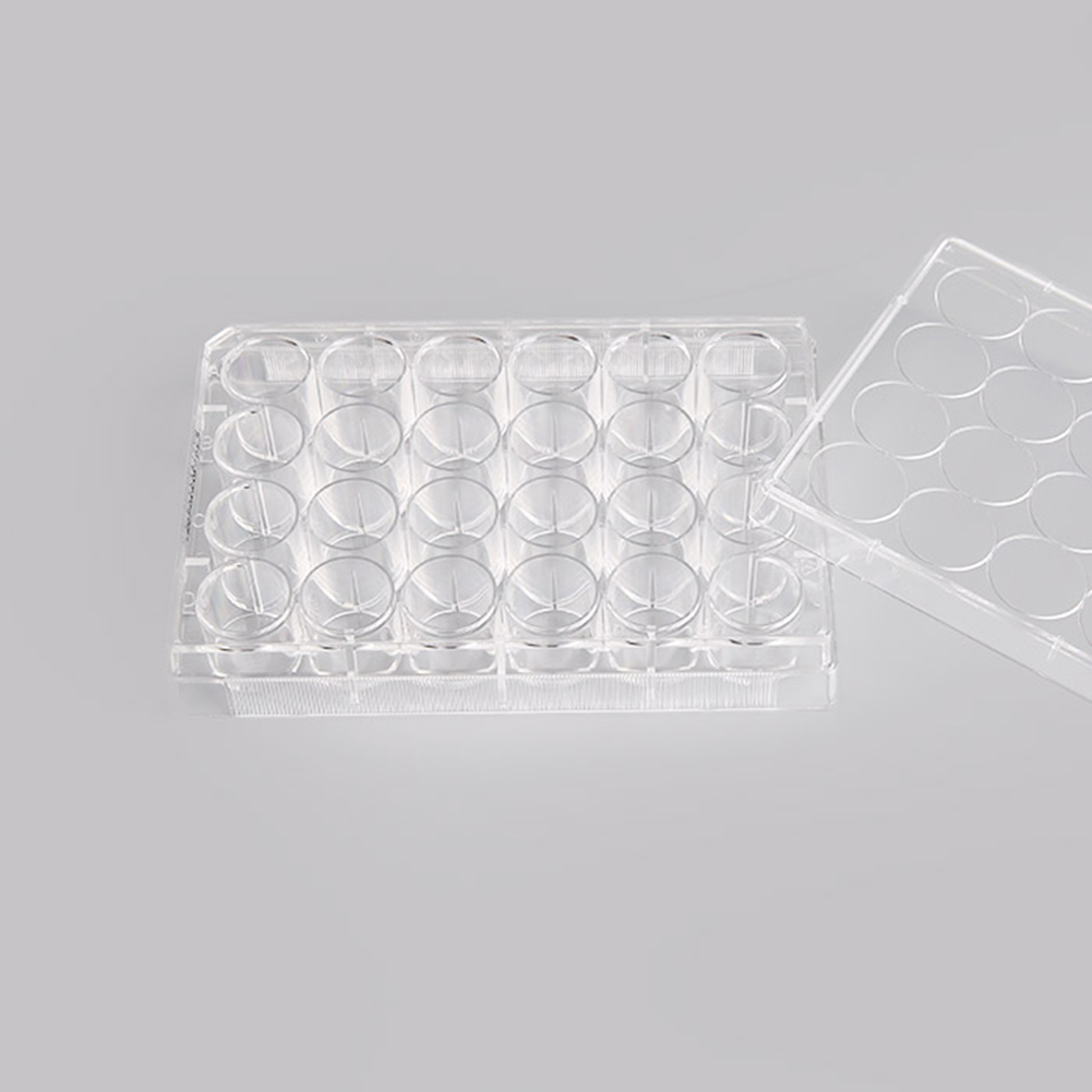 ADAMAS-BETA Cell Culture Plate 6-96 Well Flat Bottom TC Sterile Transparent Laboratory Microbial Plastic Culture Plate for Adherent Culture