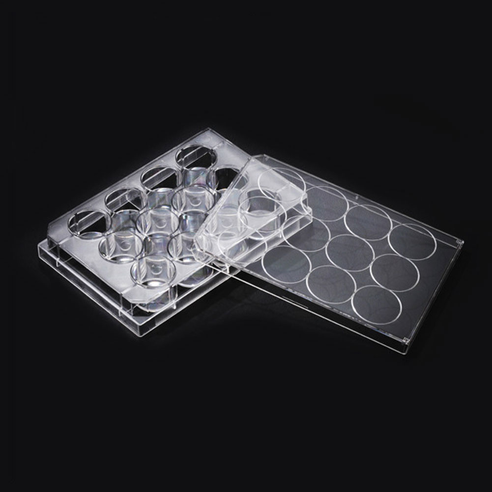ADAMAS-BETA Cell Culture Plate 6-96 Well Flat Bottom TC Sterile Transparent Laboratory Microbial Plastic Culture Plate for Adherent Culture