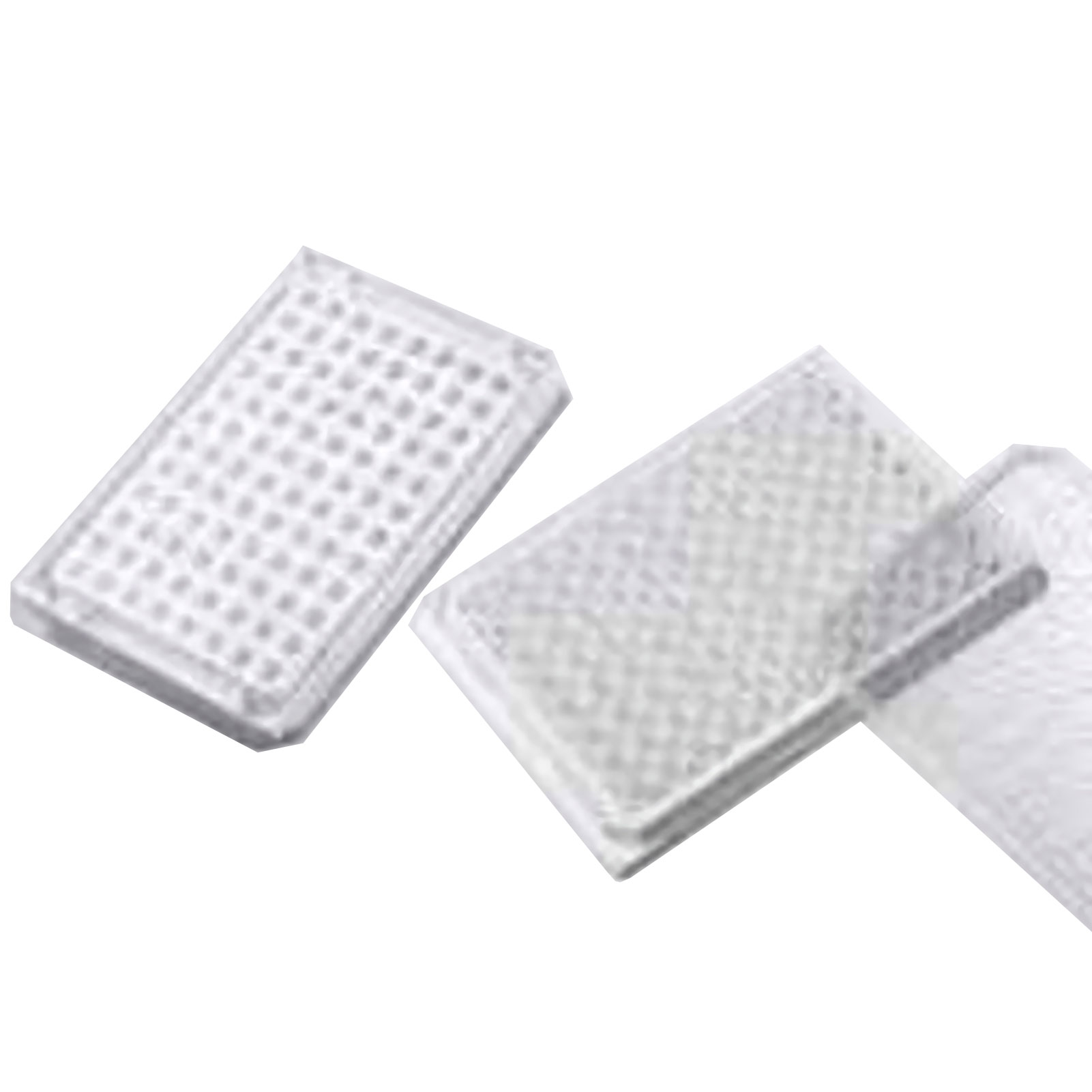 ADAMAS-BETA Cell Culture Plate 6-96 Well Flat Bottom TC Sterile Transparent Laboratory Microbial Plastic Culture Plate for Adherent Culture