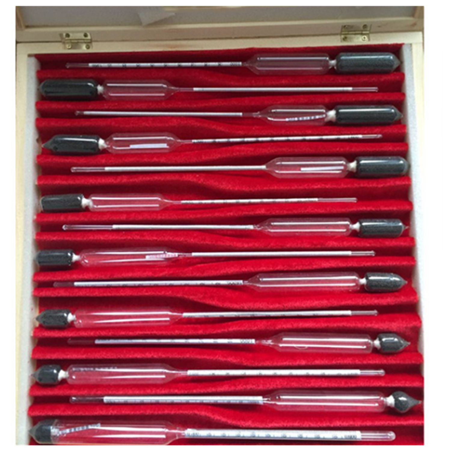 ADAMAS BETA Lab Glass Densitometer High Precision Hydrometer 0.6-2.0g/ml Liquid Concentration Measurement Experiment Common Laboratory Device