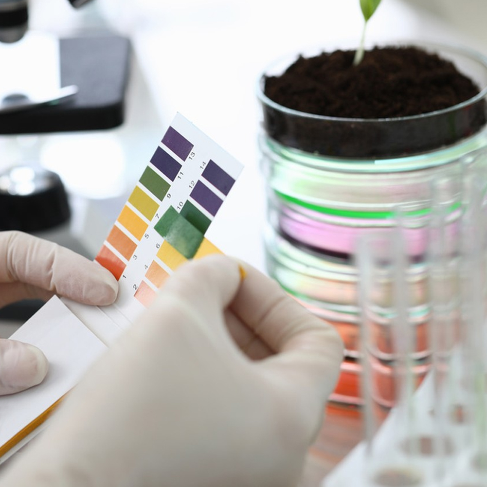 ADAMAS-BETA 1-14 PH Test Stripe Laboratory Universal Indicator Paper for Saliva/Urine Cosmetic/Soil Acid-base PH Test Paper