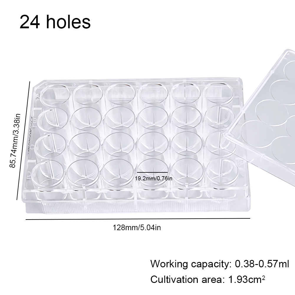 ADAMAS-BETA 10pcs Lab Transparent Cell Culture Plate 6-Well 12-Well 24-Well 48-Well Flat Bottom TC Sterile Plastic Adherent Culture Plate