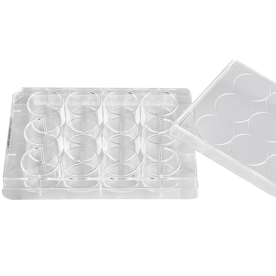ADAMAS-BETA Cell Culture Plate 6-96 Well Flat Bottom TC Sterile Transparent Laboratory Microbial Plastic Culture Plate for Adherent Culture