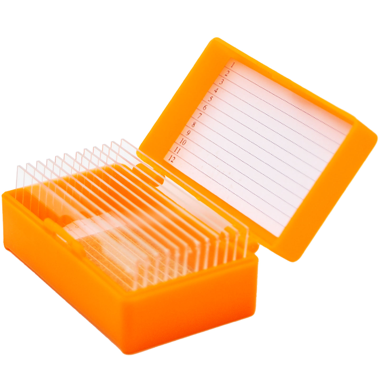 ADAMAS BETA Lab Plastic Slide Box ABS Laboratory Covered Microscope Slide Storage Case for 12/50/100pcs 25*75mm Standard Slides