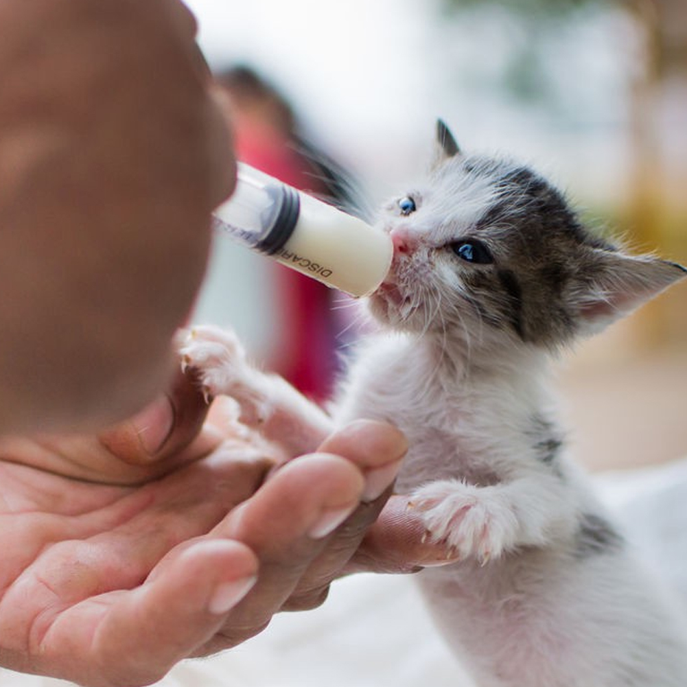 ADAMAS-BETA 20pcs/Lot Industrial Plastic Needle Cylinder 10ml Glue Perfume Dispenser Hand Push Type Graduated Lab Liquid Rinser