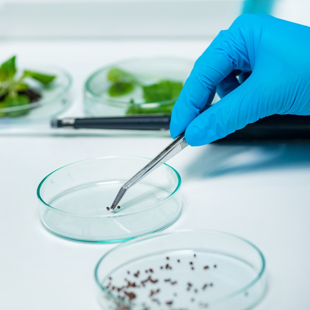 ADAMAS BETA 2pcs Stainless Steel Tweezers 16cm Pointed Headed Bend Tips Forceps Pliers Laboratory Clamping Tools Antiskid Lockable Long Clip