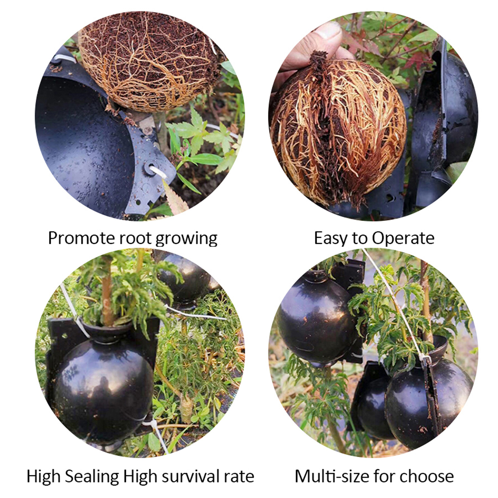 Plant Rooting Ball Black Plant Root Device Growing Box Assisted Cutting High-Pressure Propagation Ball, Reusable Grafting Controller Air-Layering for Plants Asexual Reproduction