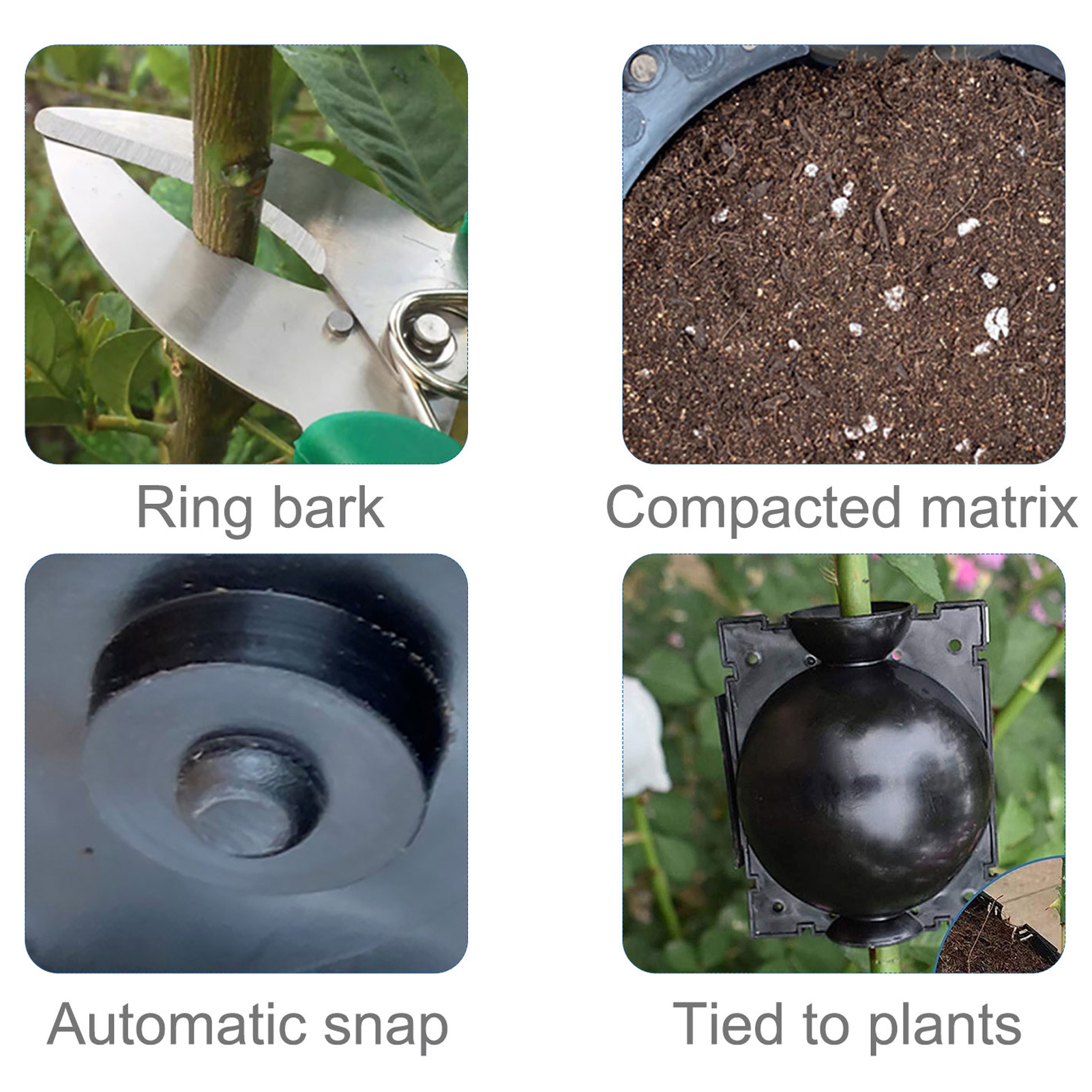 Plant Rooting Ball Black Plant Root Device Growing Box Assisted Cutting High-Pressure Propagation Ball, Reusable Grafting Controller Air-Layering for Plants Asexual Reproduction