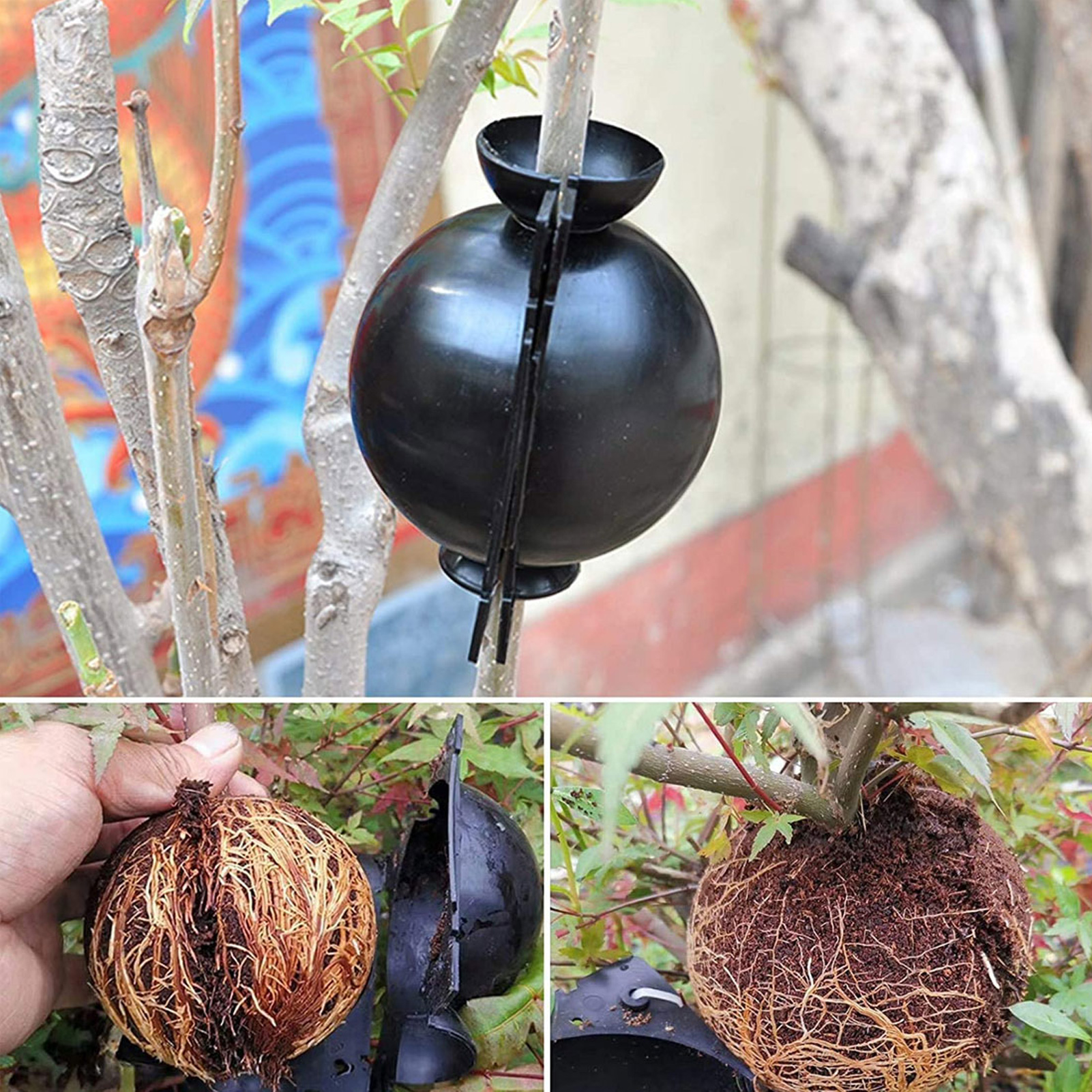 Plant Rooting Ball Black Plant Root Device Growing Box Assisted Cutting High-Pressure Propagation Ball, Reusable Grafting Controller Air-Layering for Plants Asexual Reproduction