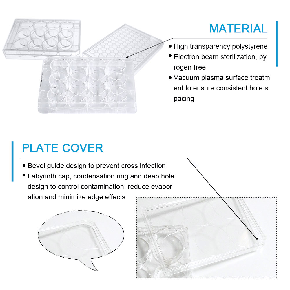 ADAMAS-BETA 10pcs Lab Transparent Cell Culture Plate 6-Well 12-Well 24-Well 48-Well Flat Bottom TC Sterile Plastic Adherent Culture Plate