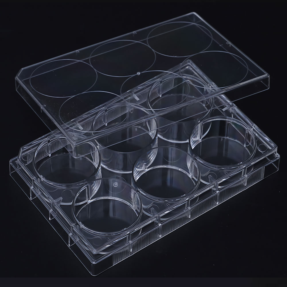 ADAMAS-BETA 10pcs Lab Transparent Cell Culture Plate 6-Well 12-Well 24-Well 48-Well Flat Bottom TC Sterile Plastic Adherent Culture Plate