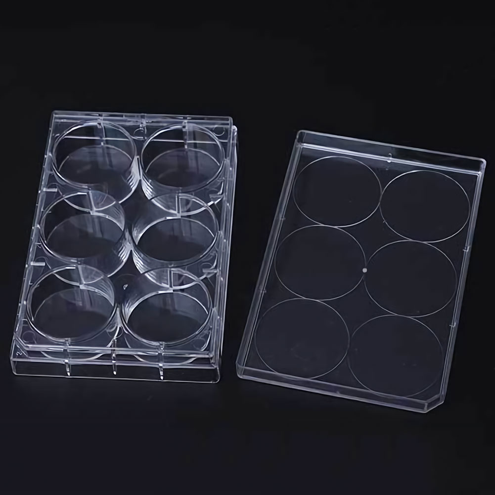 ADAMAS-BETA 10pcs Lab Transparent Cell Culture Plate 6-Well 12-Well 24-Well 48-Well Flat Bottom TC Sterile Plastic Adherent Culture Plate