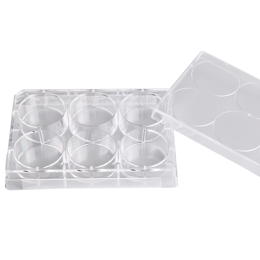 ADAMAS-BETA Cell Culture Plate 6-96 Well Flat Bottom TC Sterile Transparent Laboratory Microbial Plastic Culture Plate for Adherent Culture