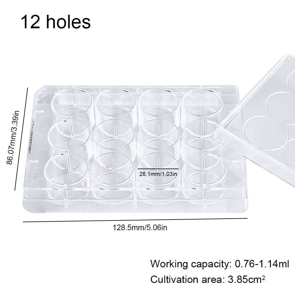 ADAMAS-BETA 10pcs Lab Transparent Cell Culture Plate 6-Well 12-Well 24-Well 48-Well Flat Bottom TC Sterile Plastic Adherent Culture Plate