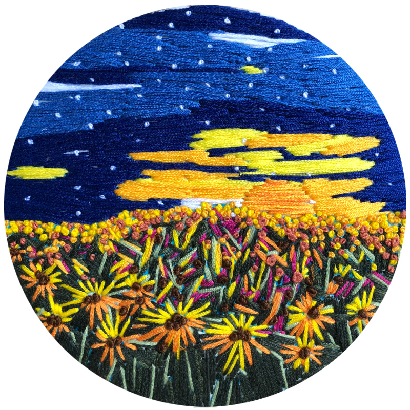 DIY Embroidery Kit Cross stitch kit for Adult Beginner - Van Gogh Starry Night Pattern