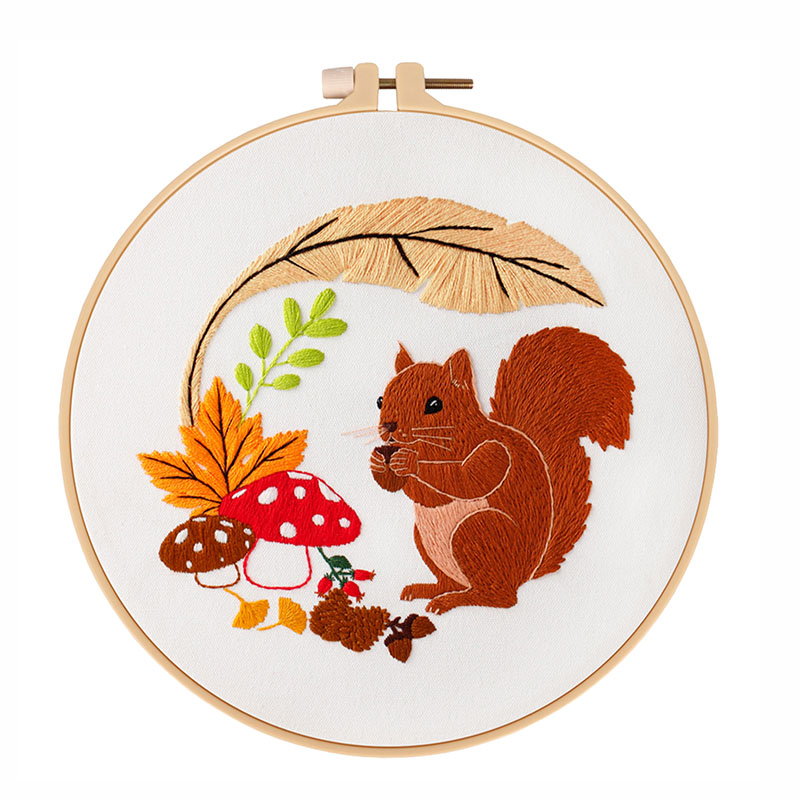 Embroidery Starter Kit Cross stitch kit for  Adult Beginners  - Cute Squirrel Pattern