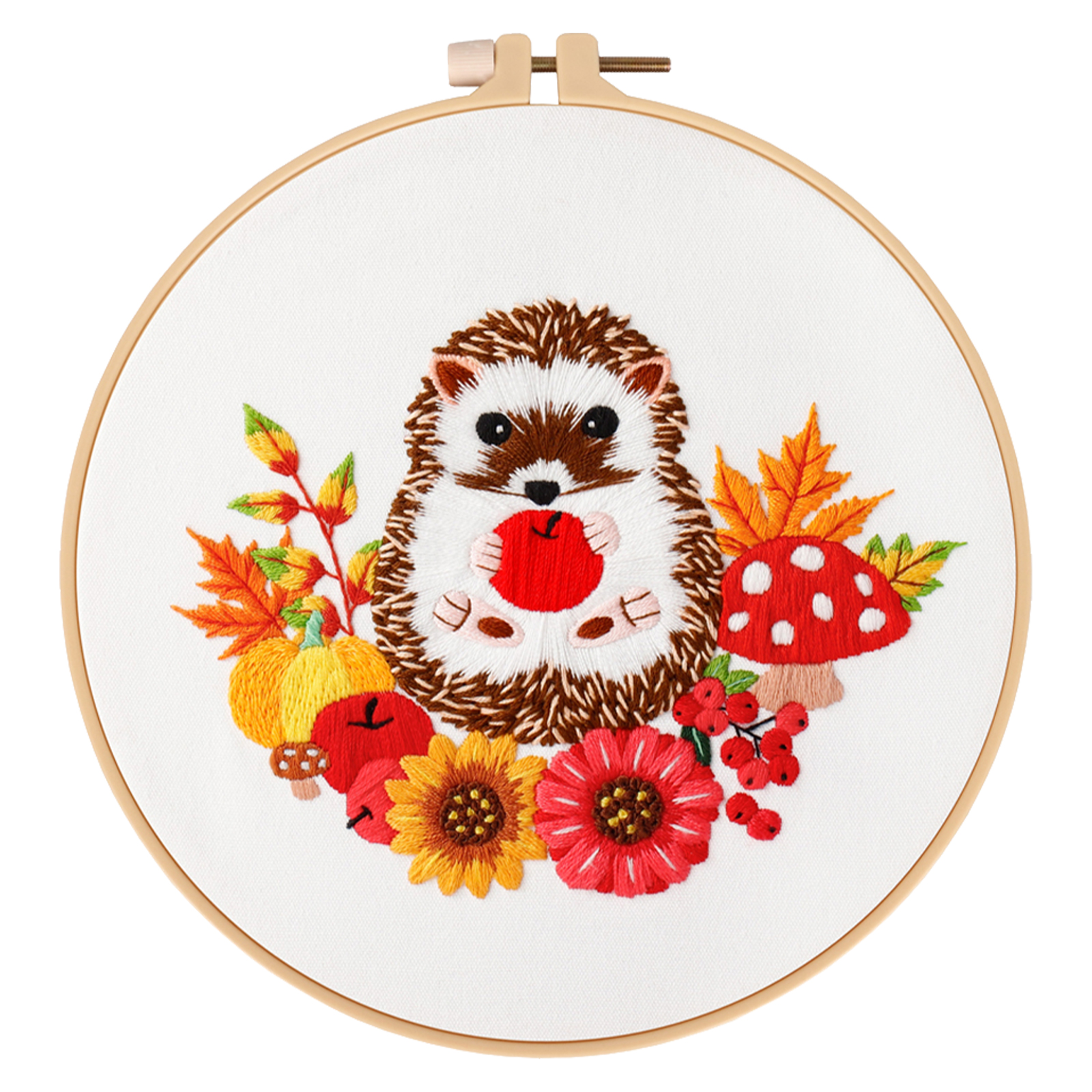 Embroidery Starter Kit Cross stitch kit for  Adult Beginners  - Cute Hedgehog Pattern 