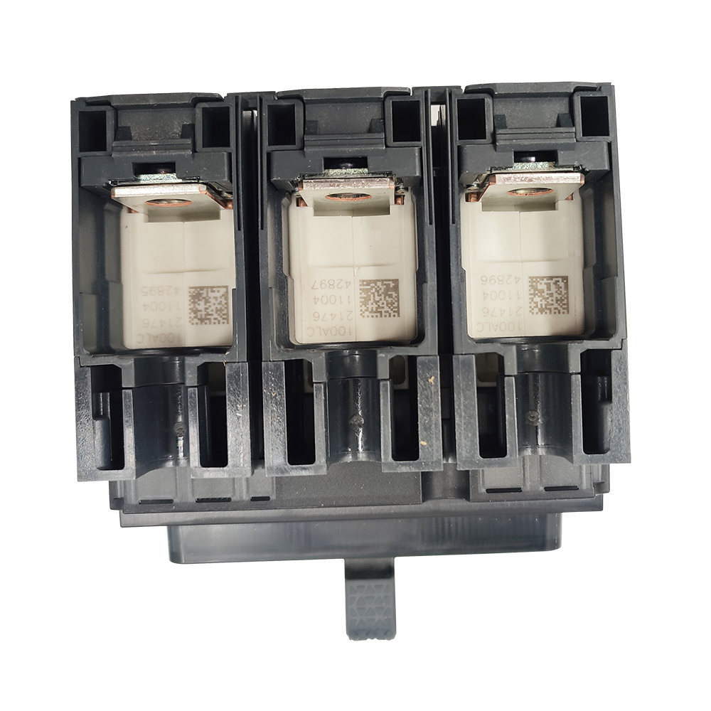 circuit breaker c10f3tm100