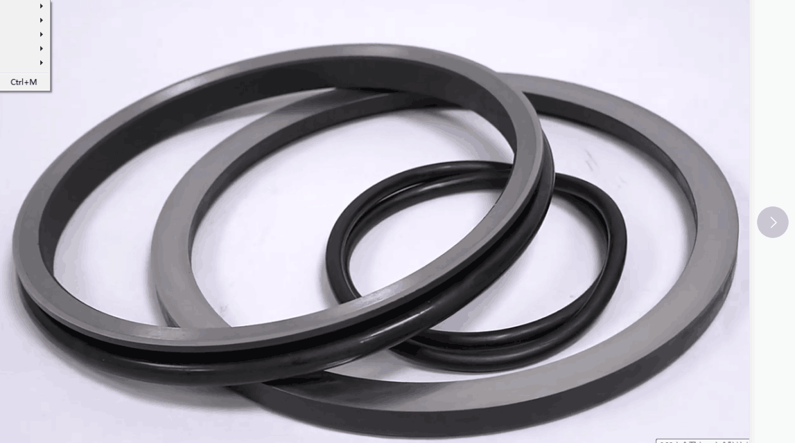 TZ550A-1010 iron type mechanical face seal company