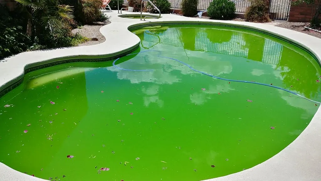 how to clean green pool