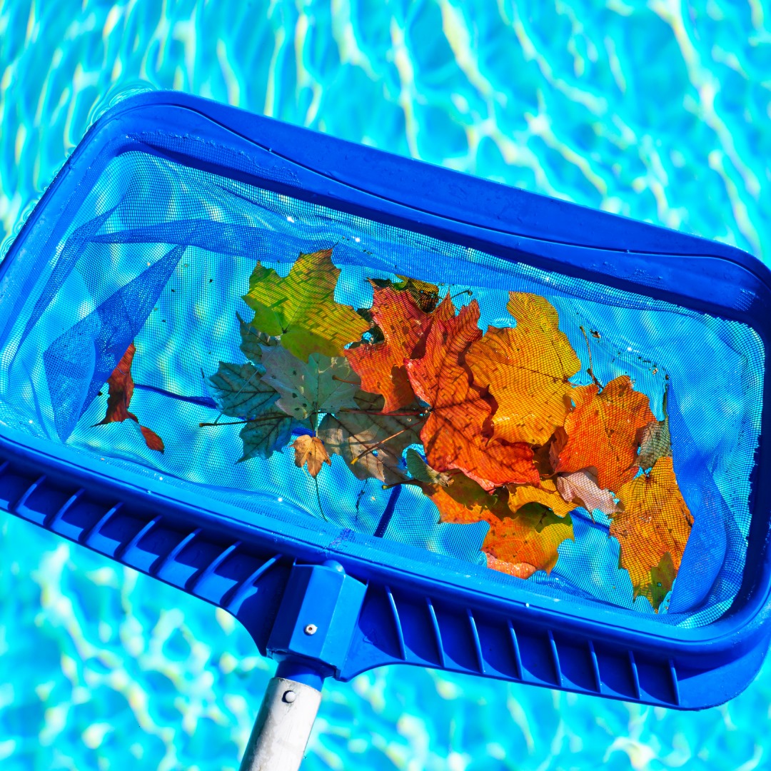 10 Best Swimming Pool Skimmer Net Sold on Amazon in 2023