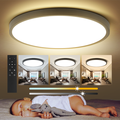 Canmeijia Remote Ceiling Light