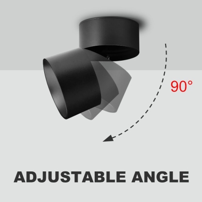 CANMEIJIA Foldable Spot Light