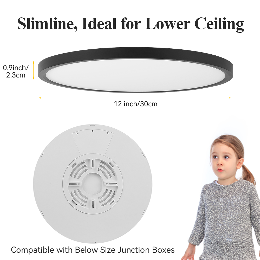 Canmeijia Remote Ceiling Light