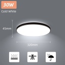 Black 30W Cold White