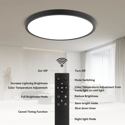 Canmeijia Remote Ceiling Light