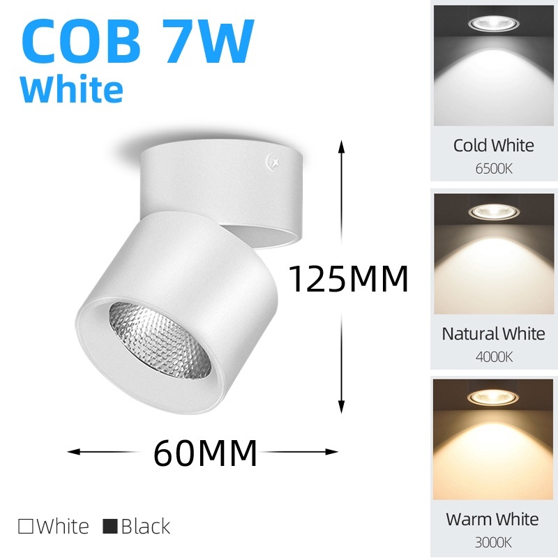 CANMEIJIA Foldable Spot Light