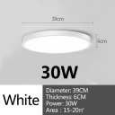 30W White Body