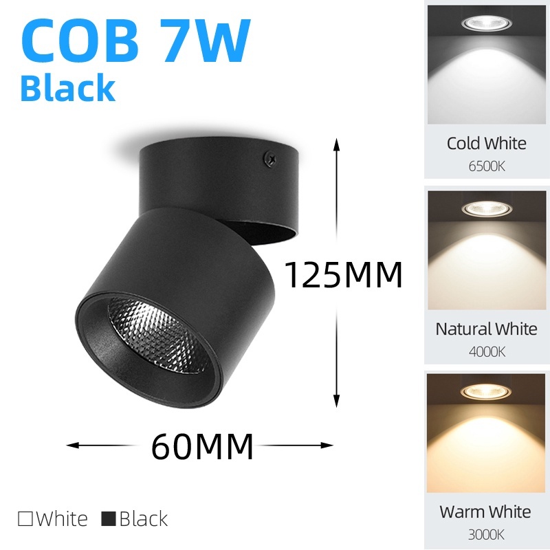 CANMEIJIA Foldable Spot Light