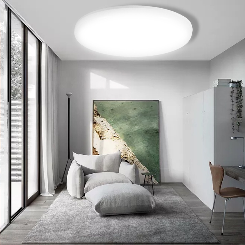 Canmeijia Mordern Ceiling Lights