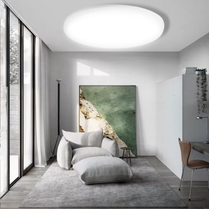 Canmeijia Mordern Ceiling Lights 