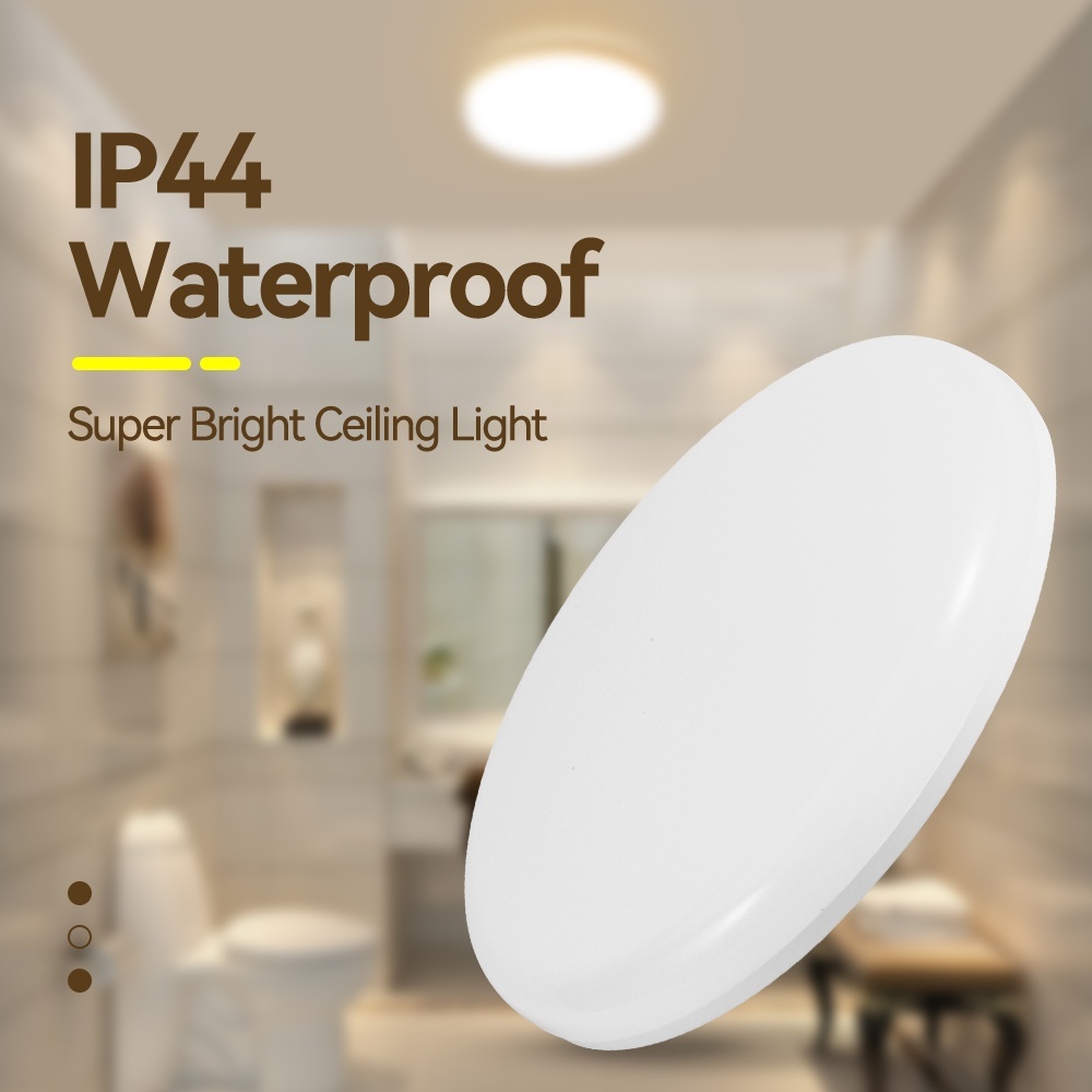Canmeijia Mordern Ceiling Lights