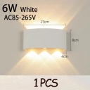 White 6W 1PC