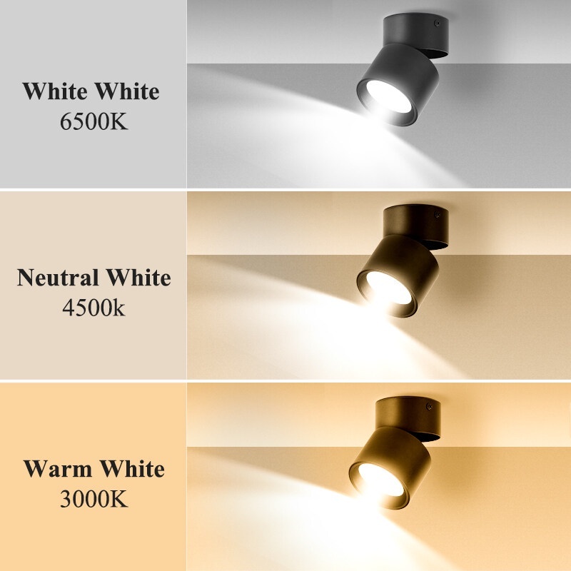 CANMEIJIA Foldable Spot Light